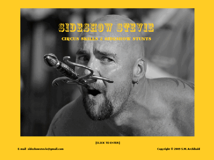 www.sideshowstevie.com