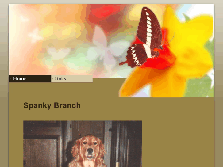 www.spankybranch.com