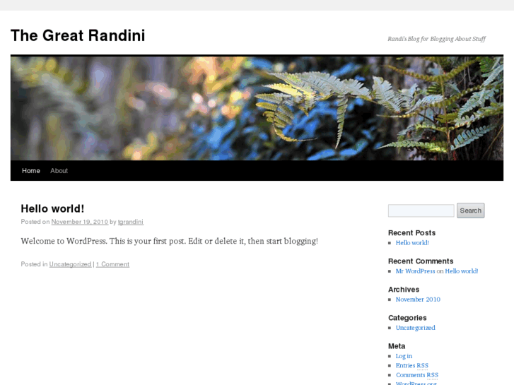 www.thegreatrandini.com