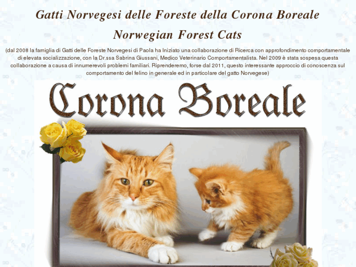 www.coronaboreale.com