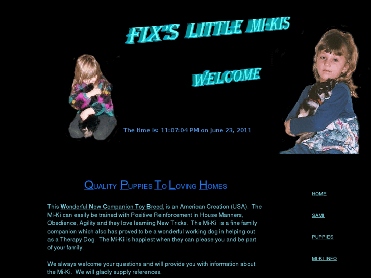 www.fixslittlemikis.com