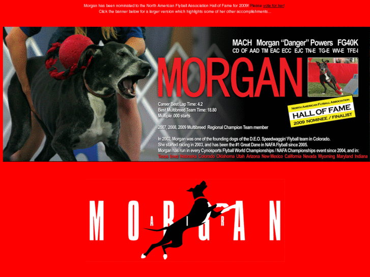 www.morgandane.com