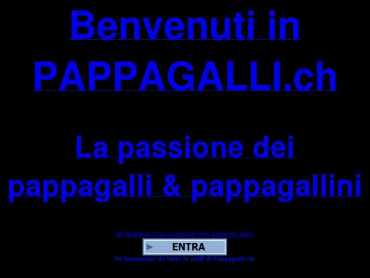 www.pappagalli.ch