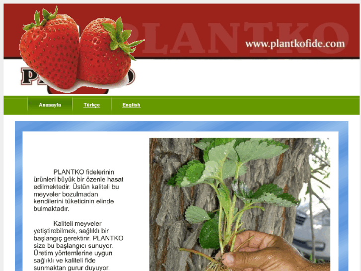 www.plantkofide.com