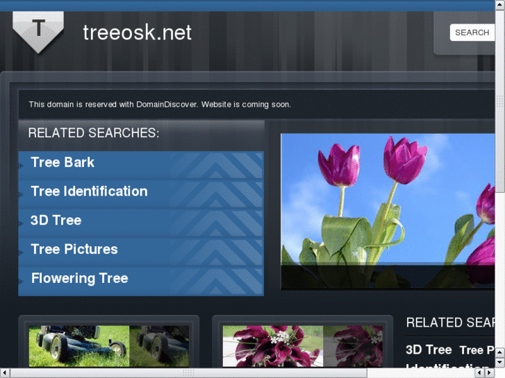 www.treeosk.net