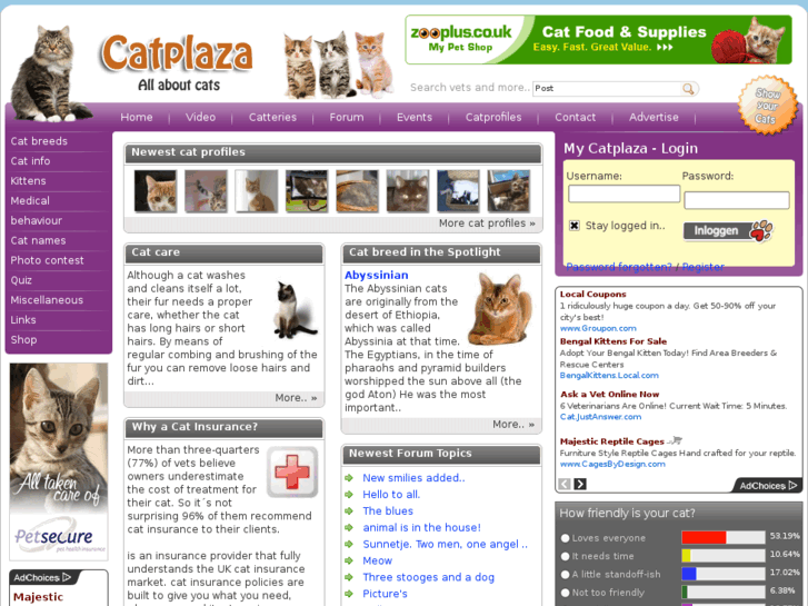 www.catplaza.org.uk