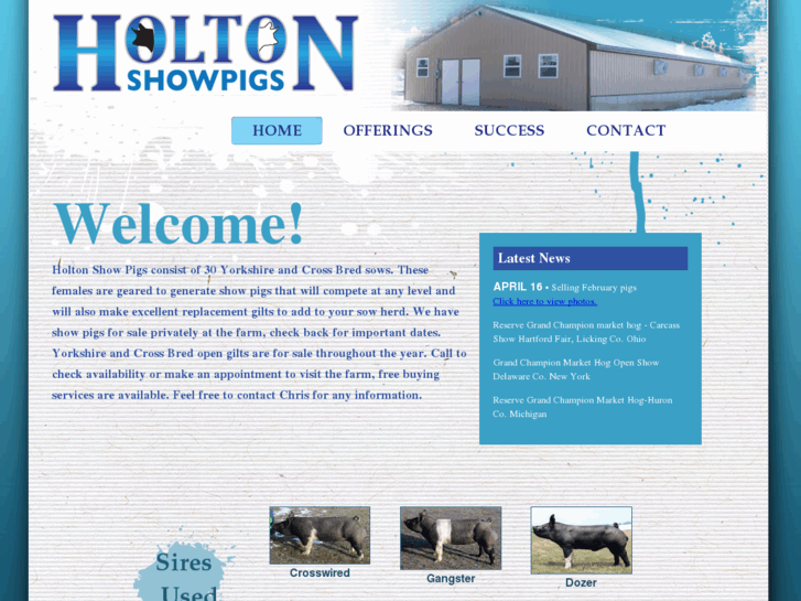 www.holtonshowpigs.com