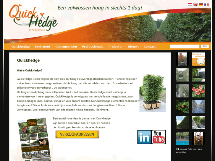 www.quickhedge.nl