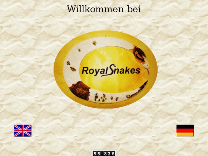 www.royal-snakes.com