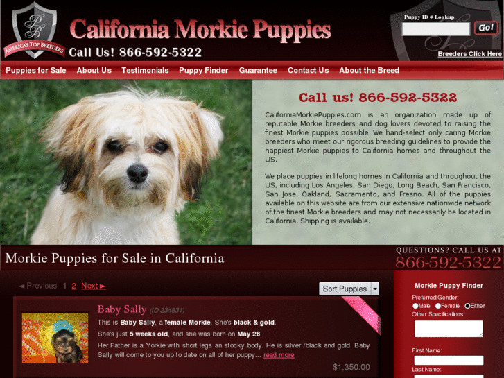 www.californiamorkiepuppies.com