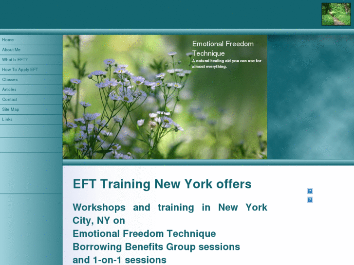 www.eft-training-newyork.com