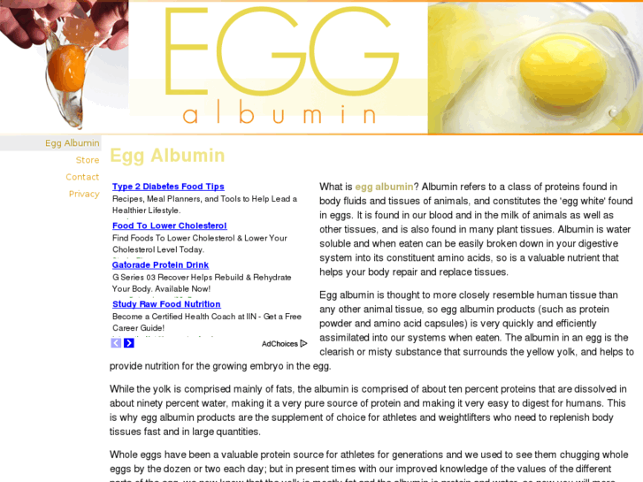 www.eggalbumin.com