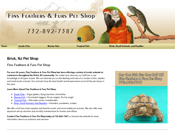 www.finsfeathersandfurspetshop.com