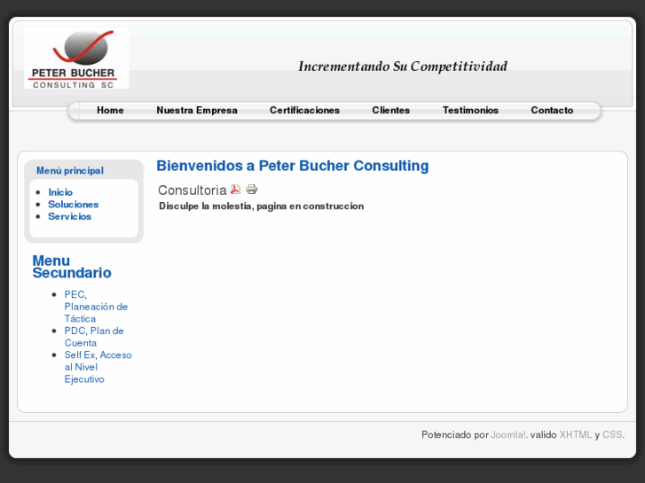 www.peterbucherconsulting.com