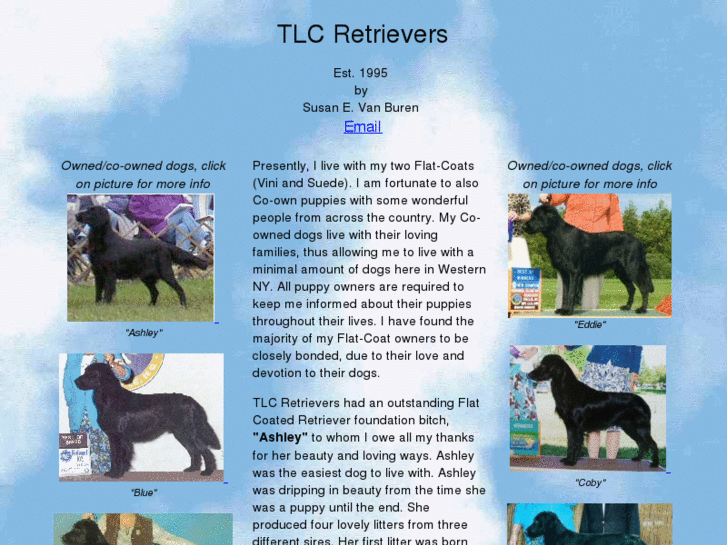 www.tlcretrievers.com