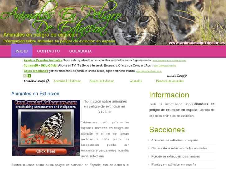 www.animalesenextincion.es