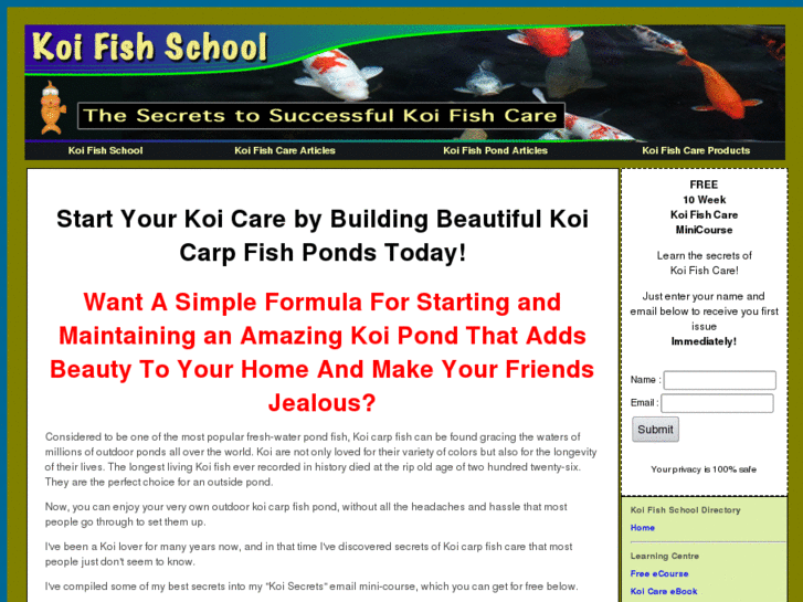 www.koifishschool.com