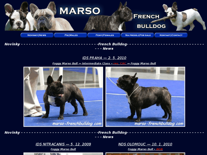 www.marso-frenchbulldog.com