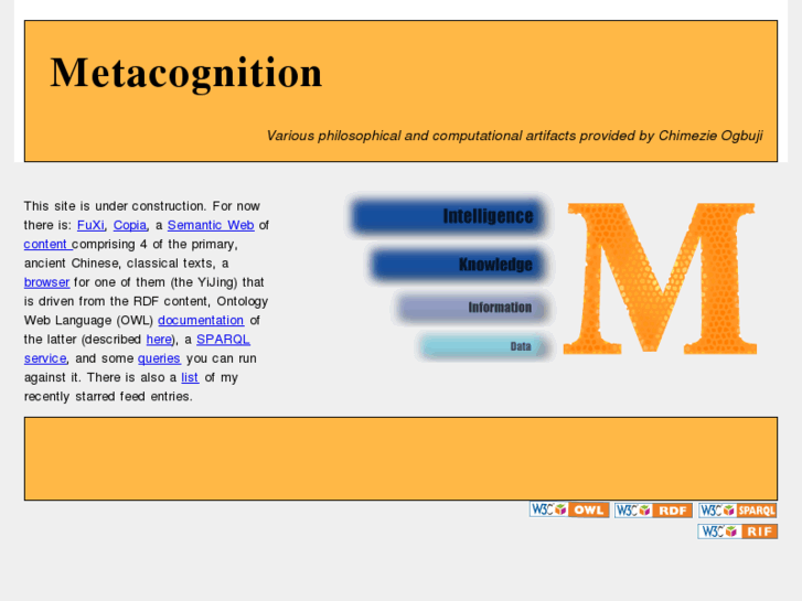 www.metacognition.info