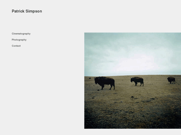 www.patrick-simpson.com