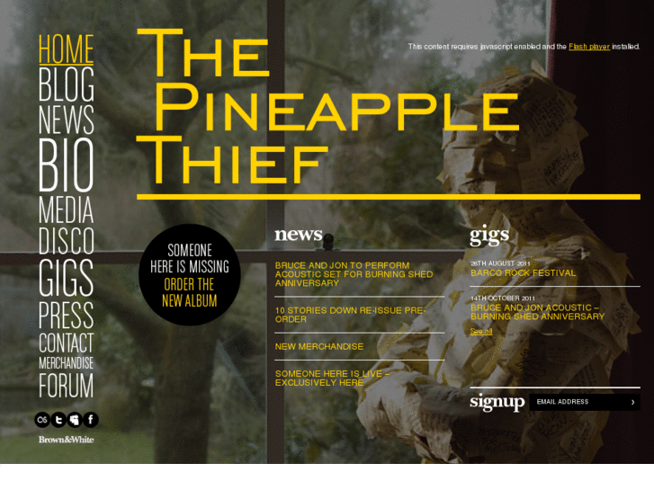 www.thepineapplethief.com