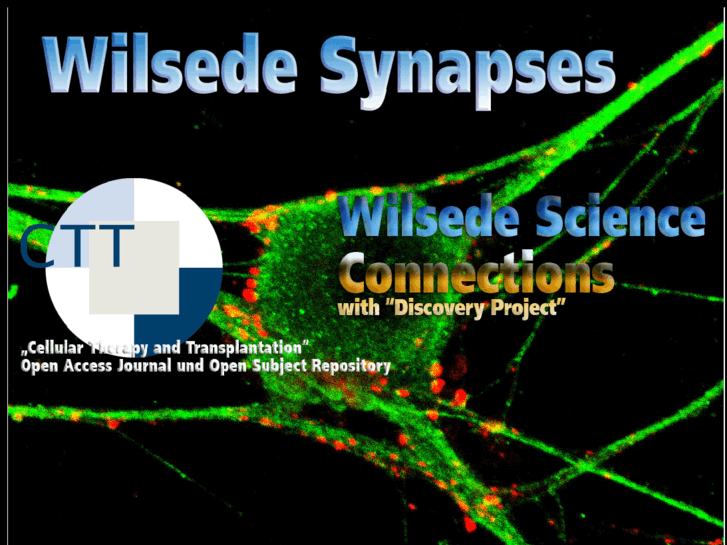 www.wilsede-synapses.com