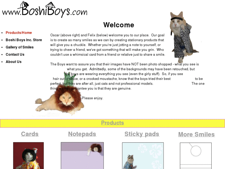 www.boshiboys.com