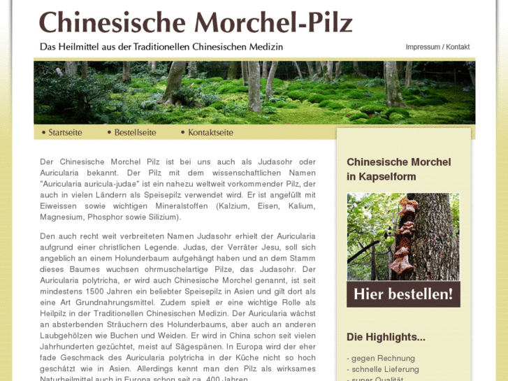 www.chinesische-morchel-pilz.com