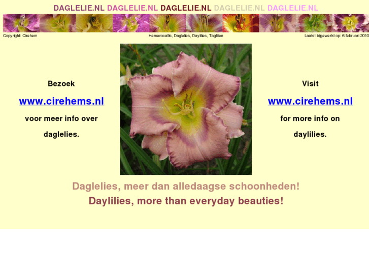 www.daglelie.nl