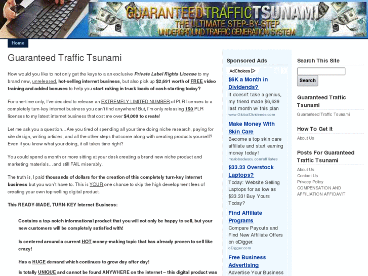 www.guaranteedtraffictsunami.org