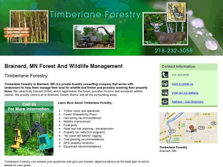 www.minnesotaforestryloggingtimber.com