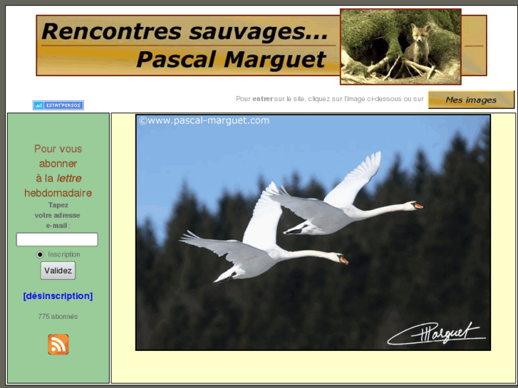 www.pascal-marguet.com