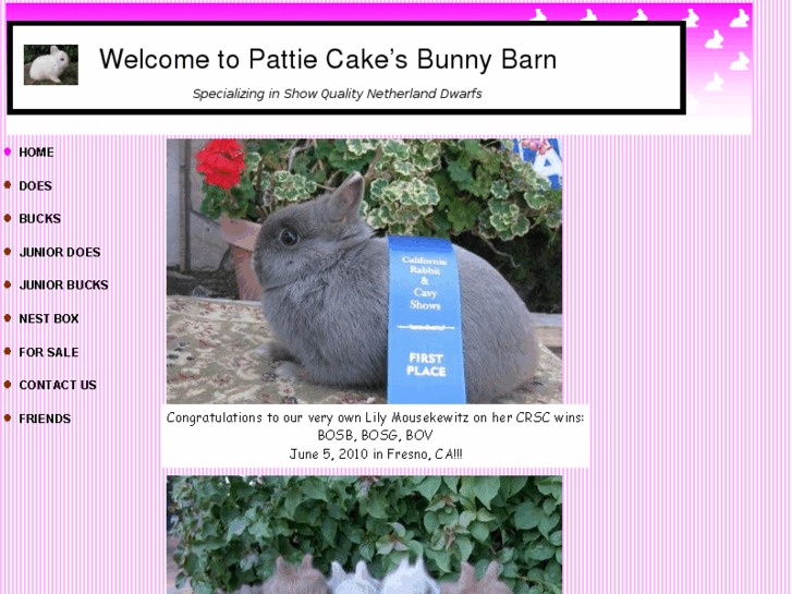 www.pattiecakesbunnybarn.com