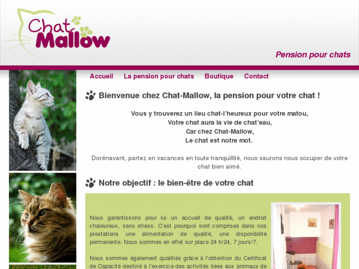 www.pension-chatmallow.com