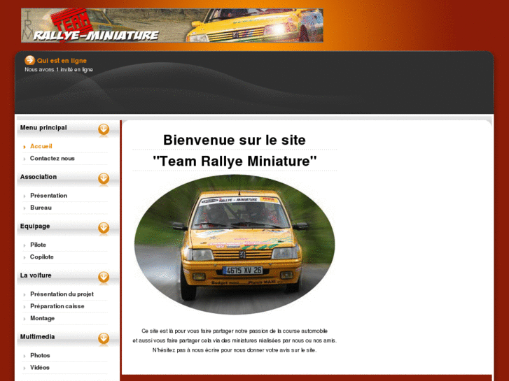 www.teamrallyeminiature.com