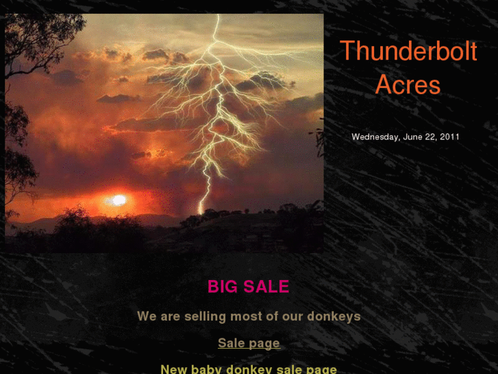 www.thunderboltacres.com