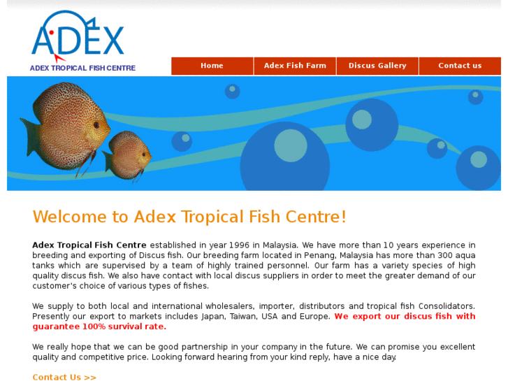 www.adexdiscus.com