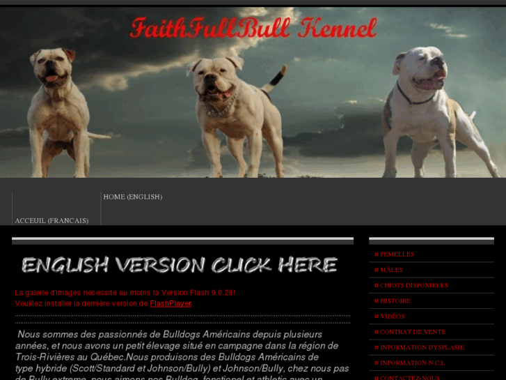 www.faithfullbull.com