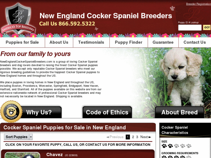 www.newenglandcockerspanielbreeders.com