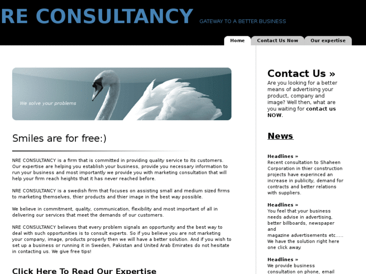 www.nre-consultancy.com