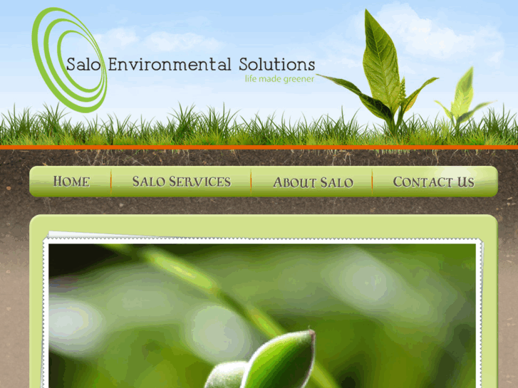 www.saloenvironmentalsolution.com