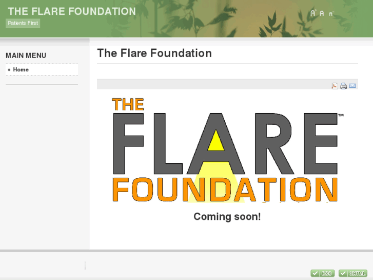 www.theflarefoundation.org