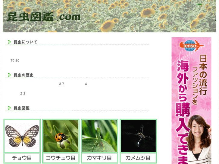 www.insect-pb.com