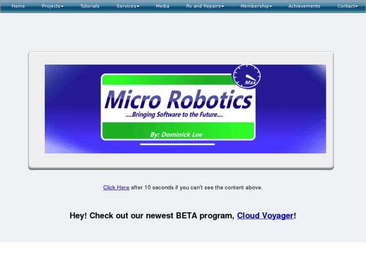 www.micro-robotics.com