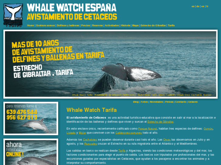 www.whalewatchtarifa.net