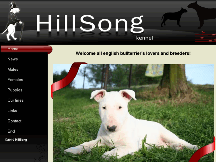 www.hillsongkennel.com