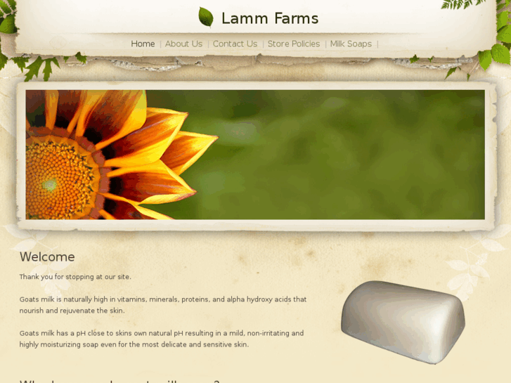 www.lamm-farms.com