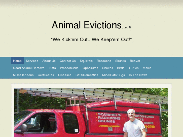 www.animalevictions.com