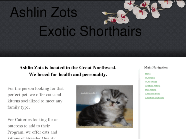 www.ashlinzots.com