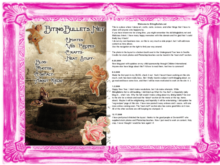 www.bitingbullets.net
